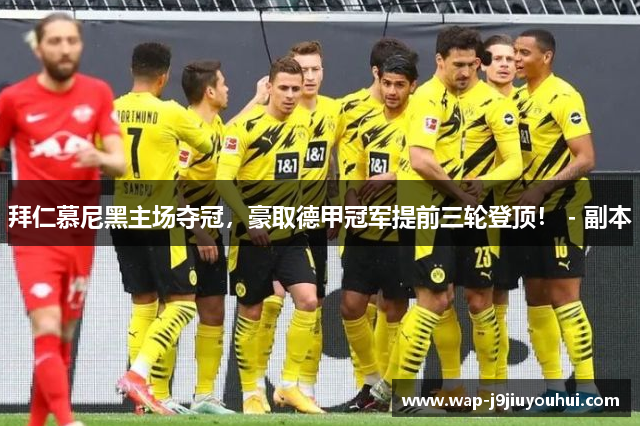 拜仁慕尼黑主场夺冠，豪取德甲冠军提前三轮登顶！ - 副本